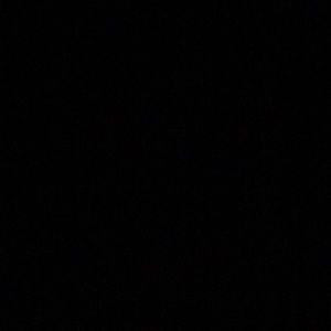 Meet your Posher, Toby